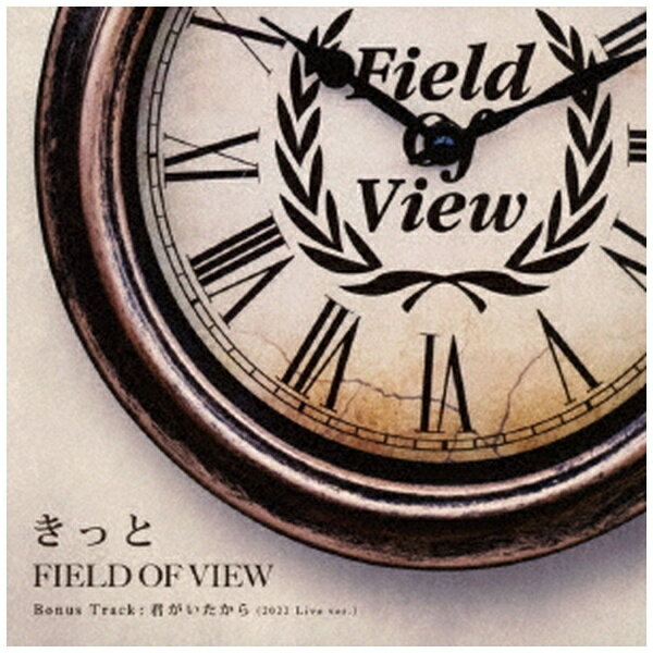 ビーイング｜Being FIELD OF VIEW/ きっと【CD】 【代金引換配送不可】