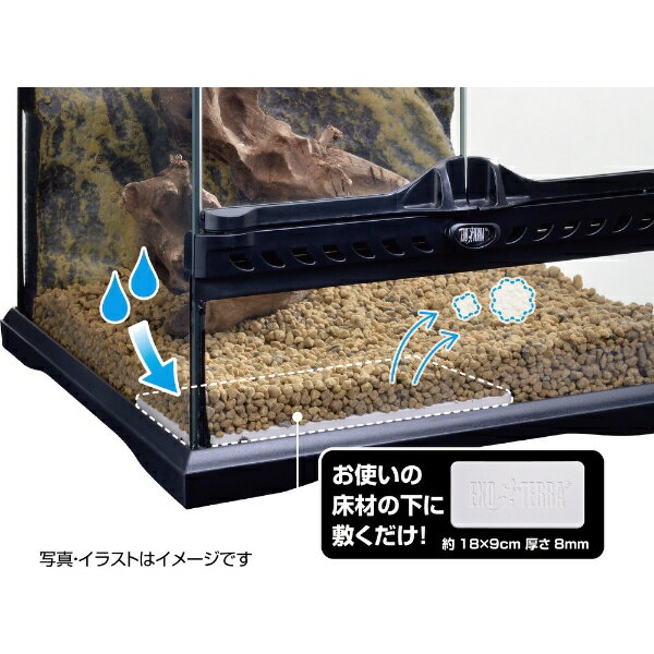 ジェックス｜GEX エキゾテラ 調湿防カビプレート