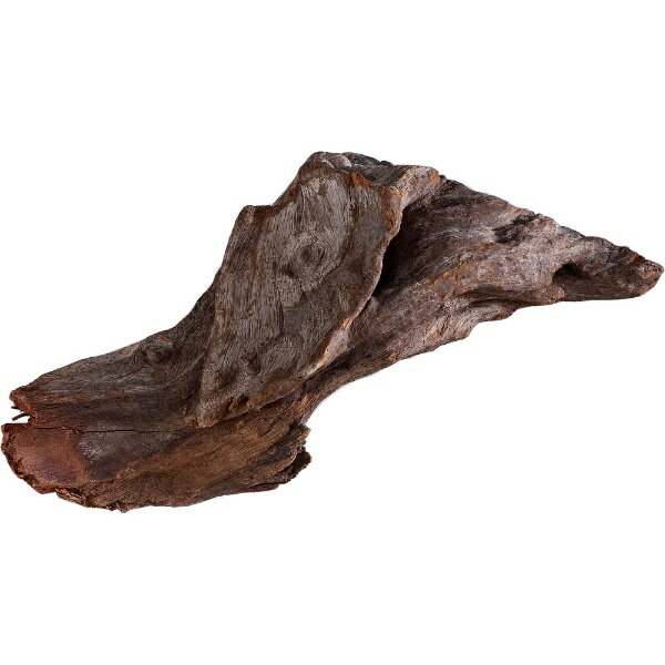 �����å�����GEX ŷ��ή�� SS SS