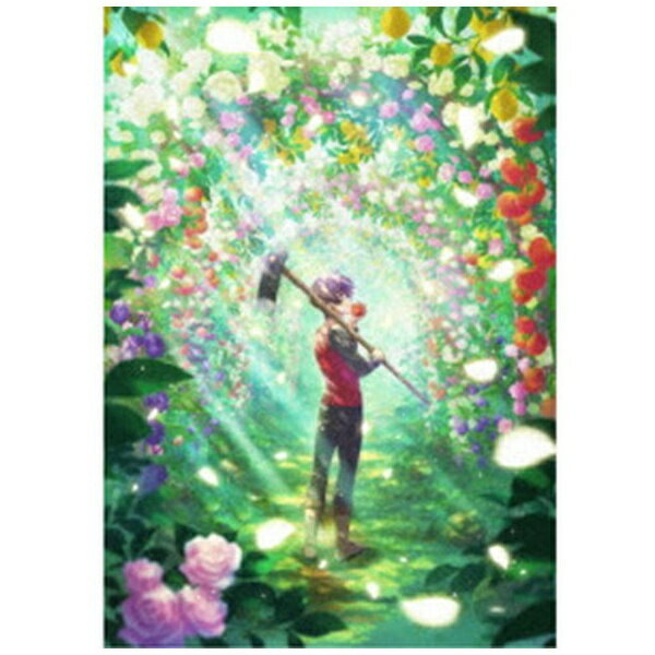 インディーズ 農民関連のスキルばっか上げてたら何故か強くなった。 DVD BOX【DVD】 【代金引換配送不..