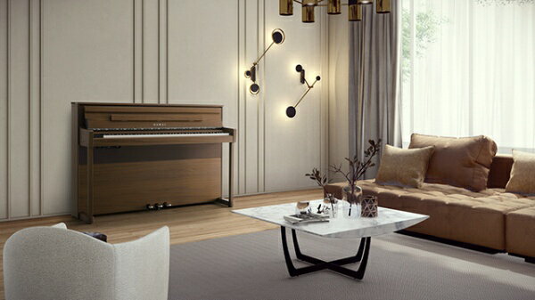 �Ϲ�ڴ��KAWAI �Żҥԥ��� �ʥ����륦����ʥå�Ĵ�ž夲 CA901NW [88����]