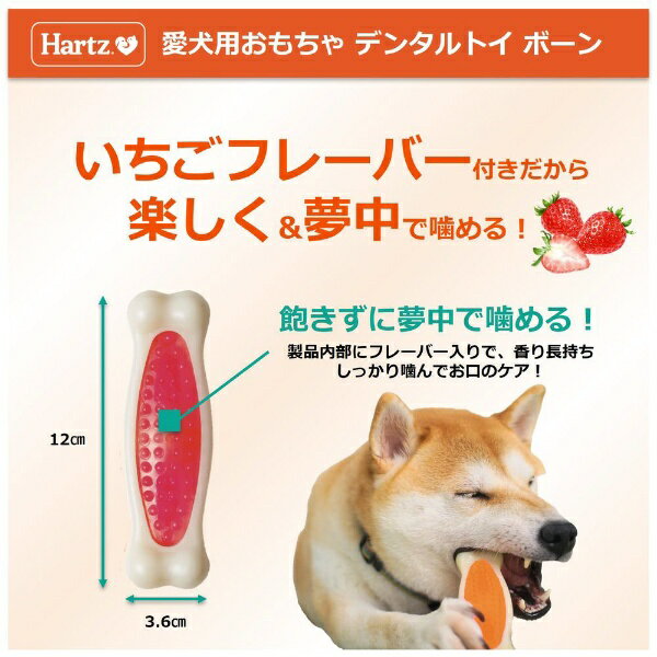 �������������󥿡��ʥ���ʥ��SUMMIT AGRO INTERNATIONAL Hartz�ʥϡ��ġ˥ǥ󥿥� �ܡ��� �������ե졼�С� M