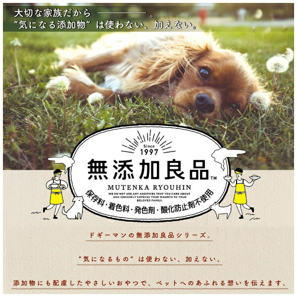ドギーマン|DoggyMan 無添加良品 ふわ...の紹介画像3