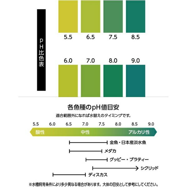 �ޥ륫���MARUKAN ���󥿥󤪤����ʤο�������å������� 40��