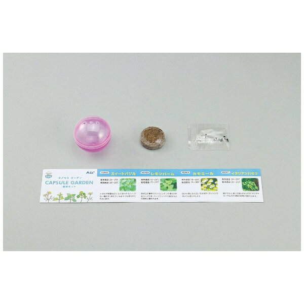 �����ƥå���Artec ���ץ��륬���ǥ� �������ȥХ��� 102922