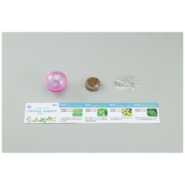 �����ƥå���Artec ���ץ��륬���ǥ� ����ߡ��� 102924