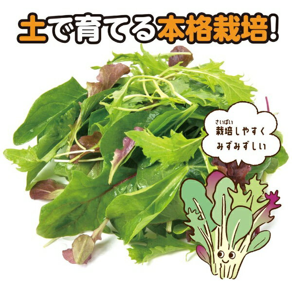 アーテック｜Artec お家で楽しく栽培キット ベビーリーフ 102932