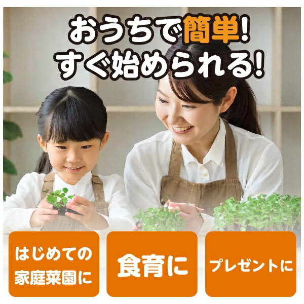 アーテック｜Artec お家で楽しく栽培キット 水菜 102935
