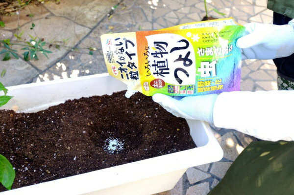 ���� �����������ǥ� ���������ʿ�ʪ�Ĥ褷 γ�����ס�650g�˥�����������Earth