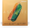 D’Addario|ダダリオ ウ゛ィオラ弦 A413 XXSM