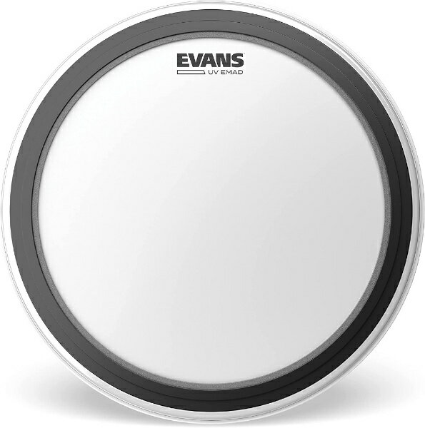 Evans�å������� �ɥ��إå� EVANS B18EMADUV