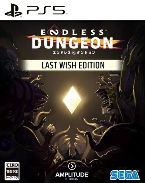 セガ｜SEGA ENDLESS Dungeon Last Wish Edition【PS5】 【代金引換配送不可】