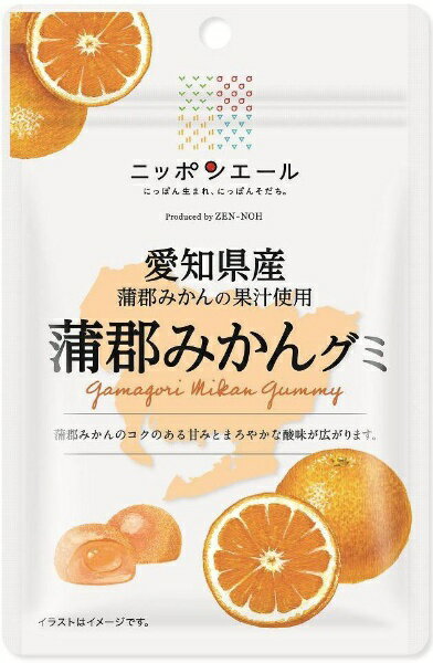 全国農協食品｜ZEN-NOH Foods 愛知県産蒲郡みかん グミ 40g 愛知県産蒲郡みかん