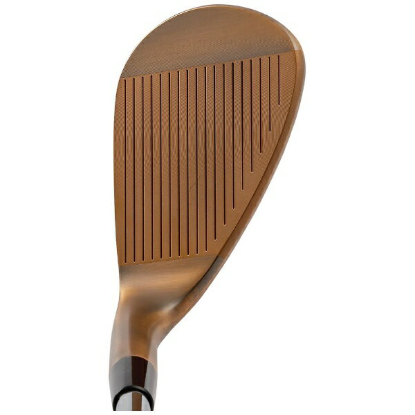 ���㥹����kasco ��ǥ����������å���DW-123 Dolphin �ɥ�ե��󥦥��å� Copper N.S.PROZelos7 Flex:R(Ladies) #56�����ʸ��Բġ�