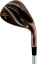 LXRbkasco fB[XEFbW@DW-123 Dolphin htBEFbW Copper N.S.PRO Zelos6 Ladies:1Flex #52yԕisz