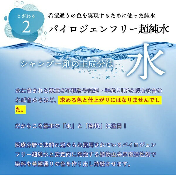 KYOGOKU カラーシャンプー 200mL ブルーパープル