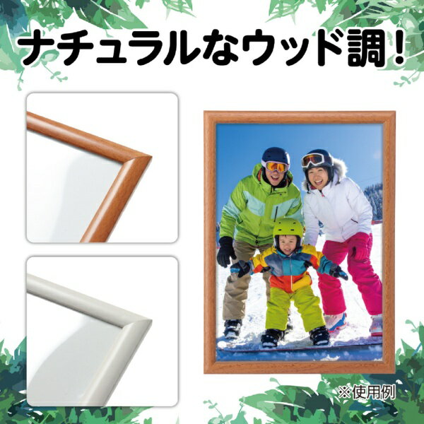 ���꡼�󥪡��ʥ��ȡ�GREEN ORNAMENT ���å�Ĵ�ե��ȥե졼��A4 73928