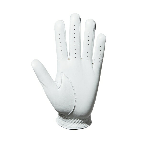フットジョイ｜FootJoy 【メンズ 左手着用(右利き用)】ゴルフグローブ ステイソフ(...