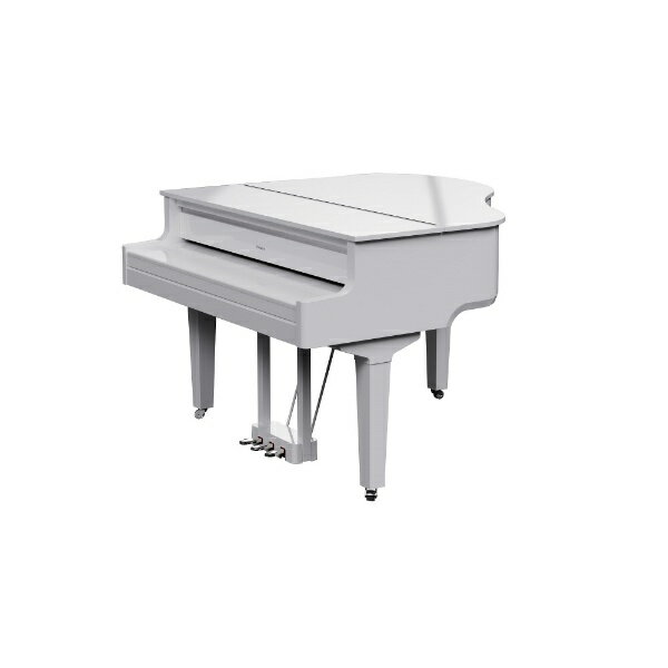 �ڥ���ȥ꡼�Ǻ���2���ݥ�����������2/25�ޤǡ� Roland�å������� �Żҥ����ɥԥ��� ����� GP-9-PWS [88����]