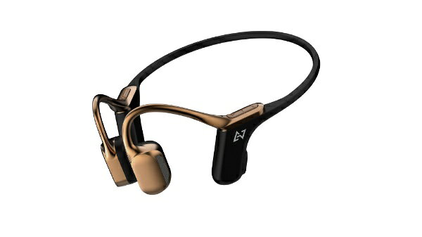 AVIOT｜アビオット ブルートゥースイヤホン 骨伝導イヤホン bronze gold WB-E1M-GL [骨伝導 /Bluetooth対応]