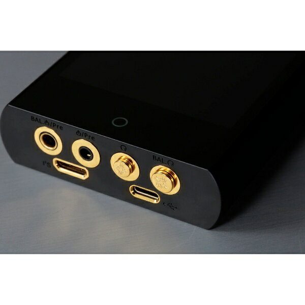 Cayin�å����� ��������إåɥۥ󥸥�å��������ȥץ饰 P35A-P44A