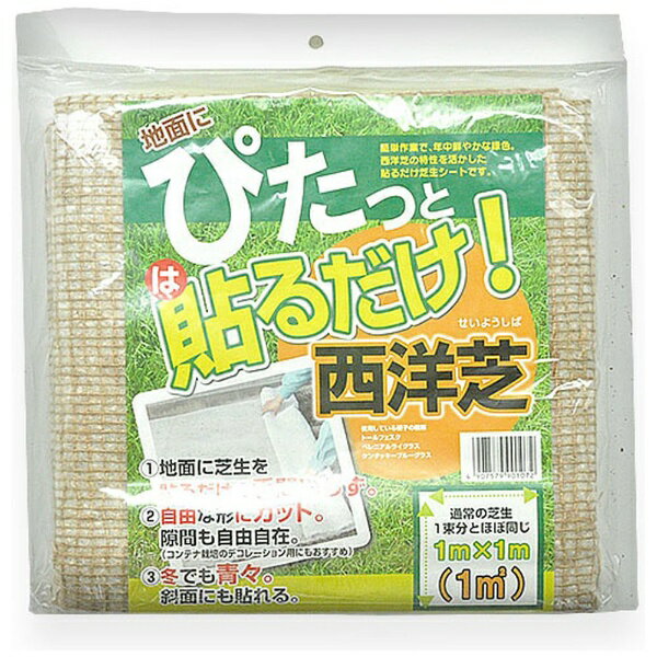 自然応用科学 自然応用科学 ぴたっと貼るだけ西洋芝1mX1m