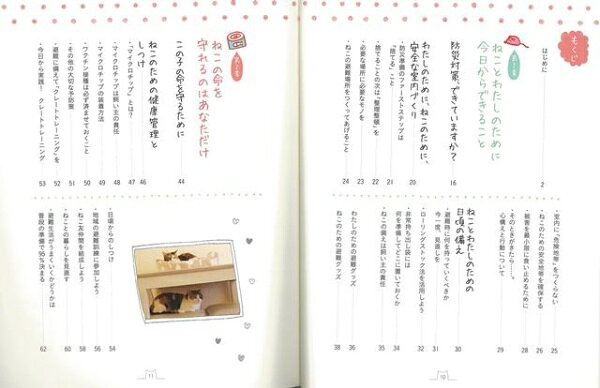 PARCO出版 【バーゲンブック】ねことわたしの防災ハンドブック