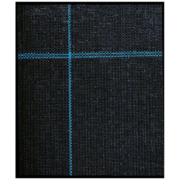 ����ܥ���KINBOSHI GS #7216 �������𥷡��ȥ֥�å�4x100m