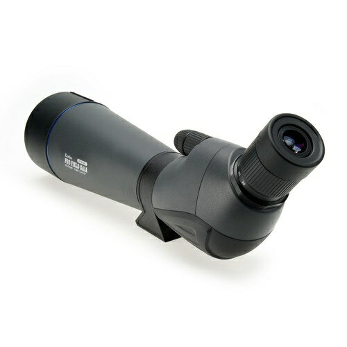 �ڥ���ȥ꡼�Ǻ���2���ݥ�����������2/25�ޤǡ� ���󥳡����ȥ��ʡ���KenkoTokina Kenko �ץ��ե�����ɥ����� 20-60��80 ���з� PFG-60A