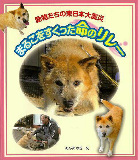 動物たちを救助し、飼い主の元へと戻そうとするボランティア達の苦闘。東日本大震災で被害を受けたのは、人間だけではなかった！動物たちを救助し、飼い主の元へと戻そうとするボランティア達の苦闘。