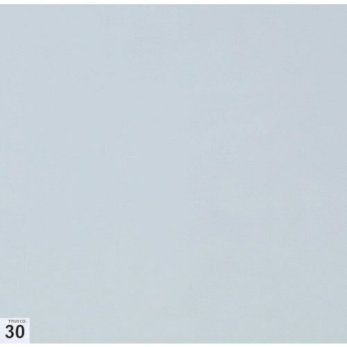 �ȥ饹���滳��TRUSCO NAKAYAMA TRUSCO��������������Ǵ�奷���ȡʷ�ʤ��ˡ�300X300��30�硡��Ǵ�١��� ASSF-3030W