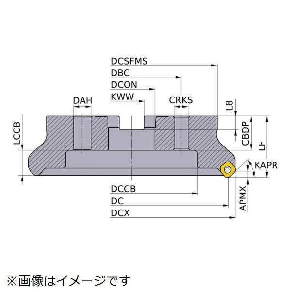 三菱マテリアル｜Mitsubishi Materials 三菱　WSX445形　低抵抗両面インサート式汎用正面削り用　アーバタイプ正面フライス　右勝手 WSX445R25010KN 【メーカー直送・代金引換不可・時間指定・返品不可】