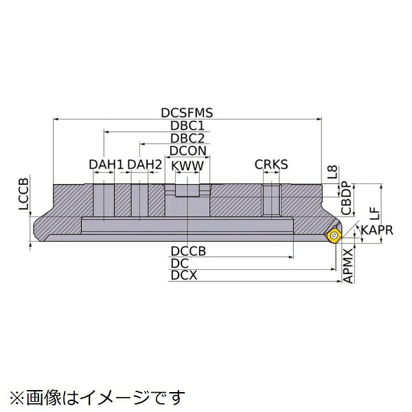 三菱マテリアル｜Mitsubishi Materials 三菱　WSX445形　低抵抗両面インサート式汎用正面削り用　アーバタイプ正面フライス　右勝手 WSX445R31514PN 【メーカー直送・代金引換不可・時間指定・返品不可】