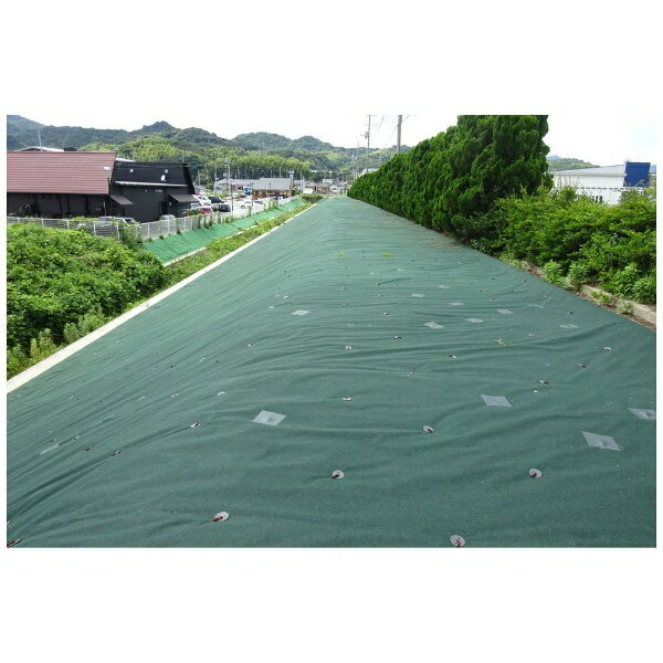 ���������KOIZUMISEIMA ���𥷡��� �в��ޥ���ե����Ver5 200cm��
