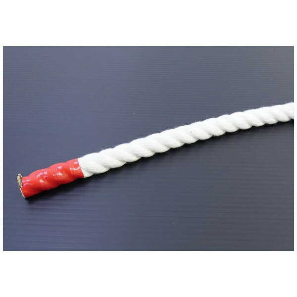乐天商城 - 伊藤製綱 クレモナSロープ 50m巻 22mm