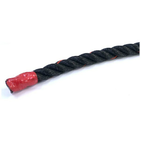 樂天商城 - 伊藤製綱 ポリエチレンロープ 黒 100m巻 28mm
