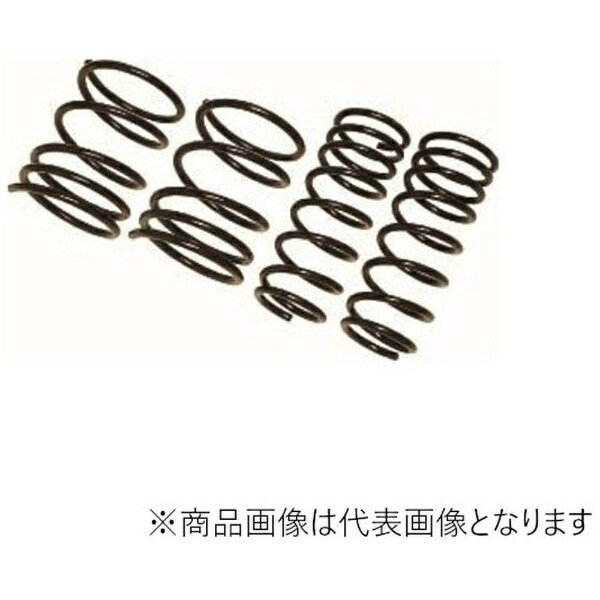 RACING GEAR｜レーシングギア ダウンスプリング ローフォルム・レボリューション プログレ JCG10 ST131A