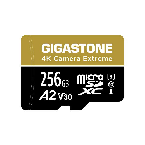 Gigastone｜ギガストーン MicroSDカードA2V30　Game Proカメラ・エクストリームシリーズ/256GB GJMX-BC256GBA2V30 [Class10 /256GB]