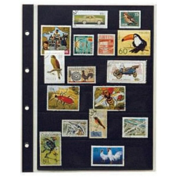 テージー｜TEJI コレクションアルバム用スペアポケット 切手単片サイズ SB-306S