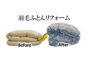 昭和西川|SHOWA NISHIKAWA 昭和西川 羽毛ふとんリフォーム ダブルサイズ ブルー系 【メーカー直送・代金引換不可・時間指定・返品不可】