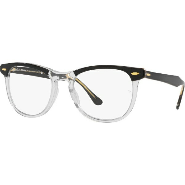 レイバン｜RayBan EAGLE EYE TRANSITIONS【Low Bridge Fit】RB2398F 1294GJ 53mm ポリッシュ透明上にブラック/グリーン調光