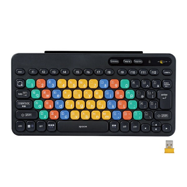 楽天楽天ビック（ビックカメラ×楽天）エレコム｜ELECOM キーボード KEY PALETTO（Chrome/Windows11対応） ブラック TK-FS10DMKBK [ワイヤレス /USB]