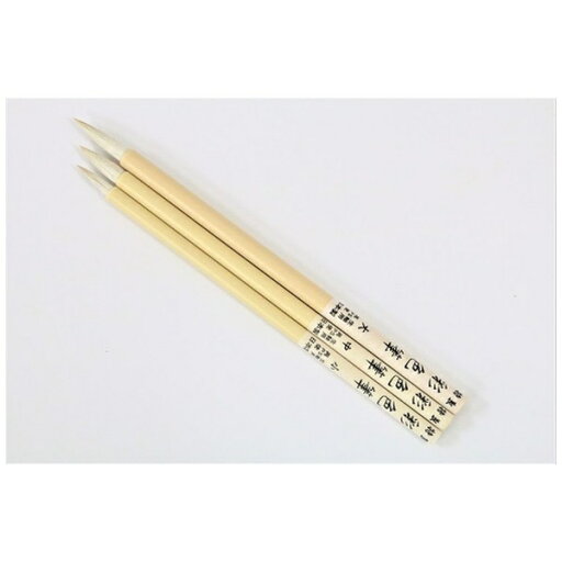 タケダ|takeda タケダ 彩色筆 プラ軸 大 70-5550 タケダ|takeda タケダ 彩色筆 プラ軸 大 70-5550