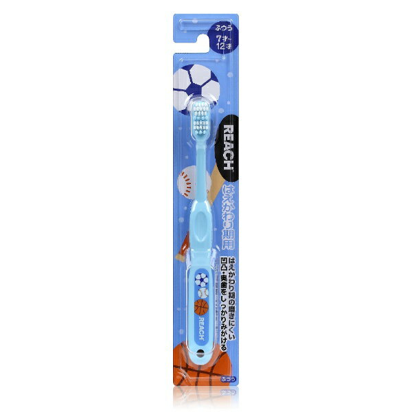 Infant Toothbrush - 銀座ステファニー｜Ginza stefany リーチ キッズ 歯ブラシ ボール はえかわり期用 ふつう