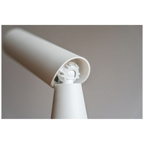 パナソニック EW0958-Wポケットドルツ替ブラシ(代引不可)