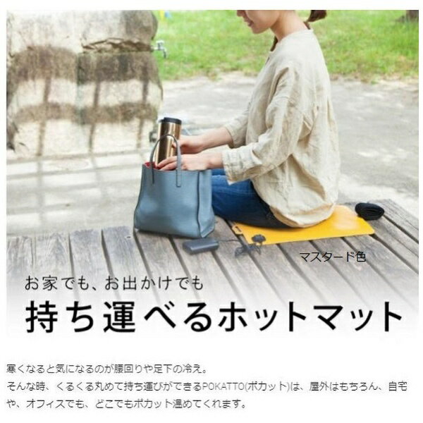 イケックス工業｜IKEX ポカット POKATTO(418×270×3mm/オリーブ) POK003