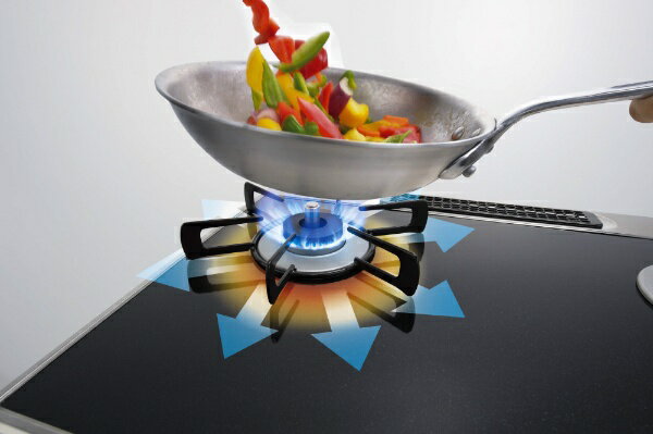 ���ʥ���Rinnai LAKUCIE���꡼�����ԥ奢���ƥ�쥹�ʥ��ȥ����С��ʡ�����åס� LAKUCIE��Peime ���ꥢ�ߥåɥ��졼������С� RTE65VAGPA-GL [��60cm /�ץ��ѥ󥬥� /������]