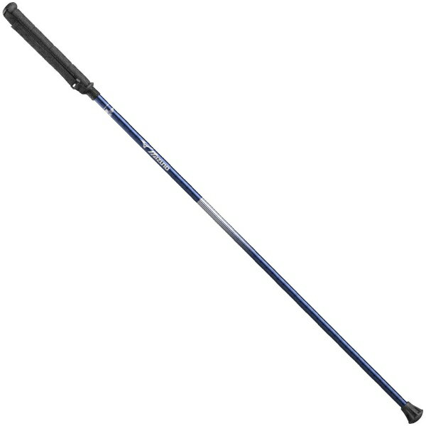 ウォーキングポールの入門モデルとなる、ホームタイプの二本杖。ストレッチや軽運動に好適。■サイズ112cm■製品質量460g■素材・製法アルミ合金■パイプ径16mm