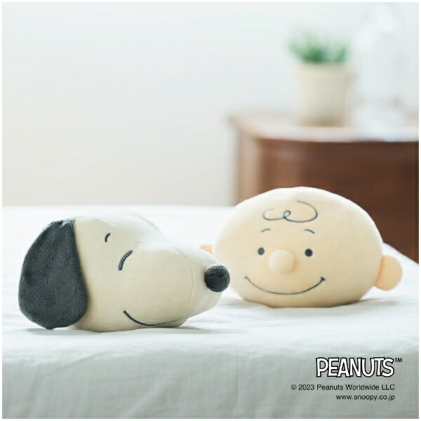 ミズノ｜mizuno 【PEANUTS】ダンベルボール ボルレッチ スヌーピー 2個入り(ペールオレンジ)C3JHI20854のサムネイル