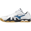 ~Ymbmizuno 25.0cm jp 싅V[Y EG[u_RISE F2E(zCg~u[~lCr[) 81GA2110 27